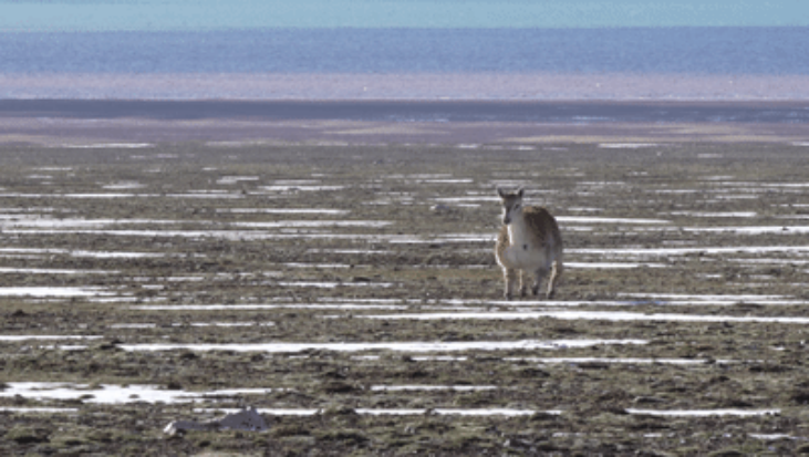 1757405562727620.png image.png